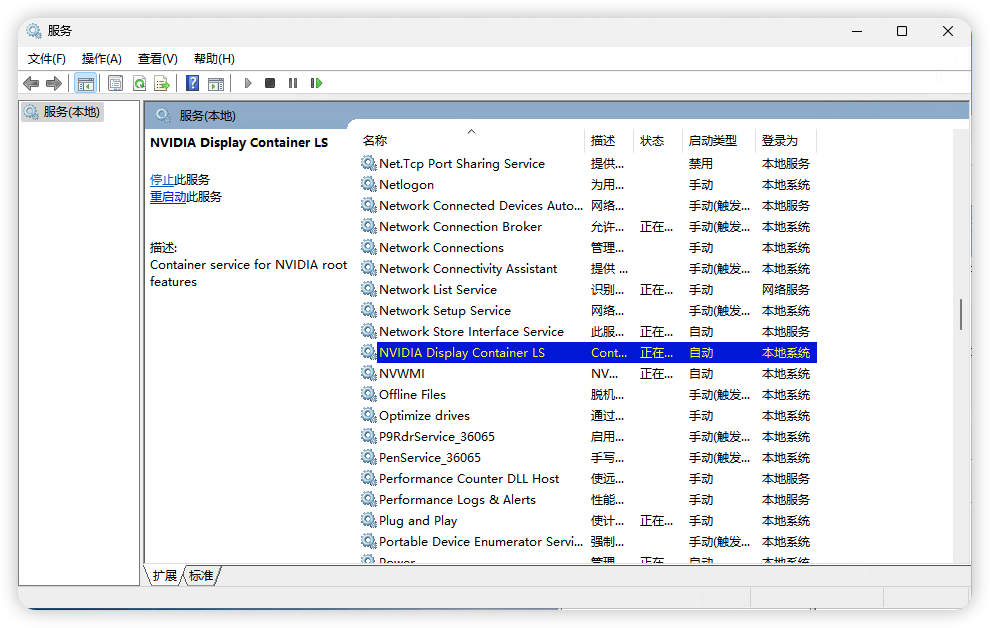 NVIDIA Display Container Ls